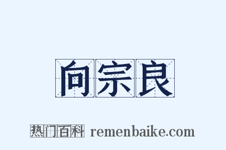 向宗良是什么意思的图片